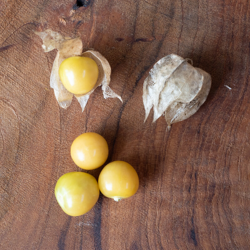 Physalis - Ground cherry