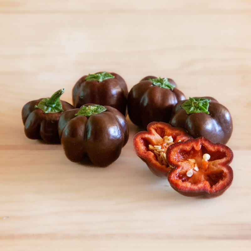 Peppers - Miniature Chocolate Bell