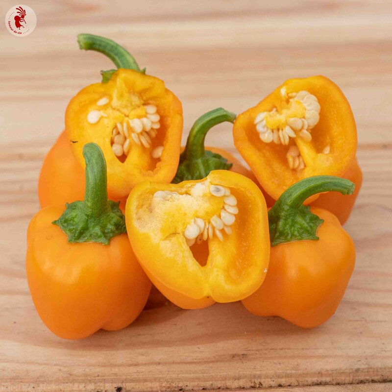 Peppers - Miniature Yellow Bell