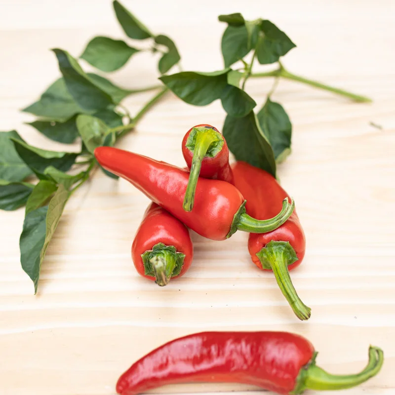 Peppers - D'Espelette / Gorria