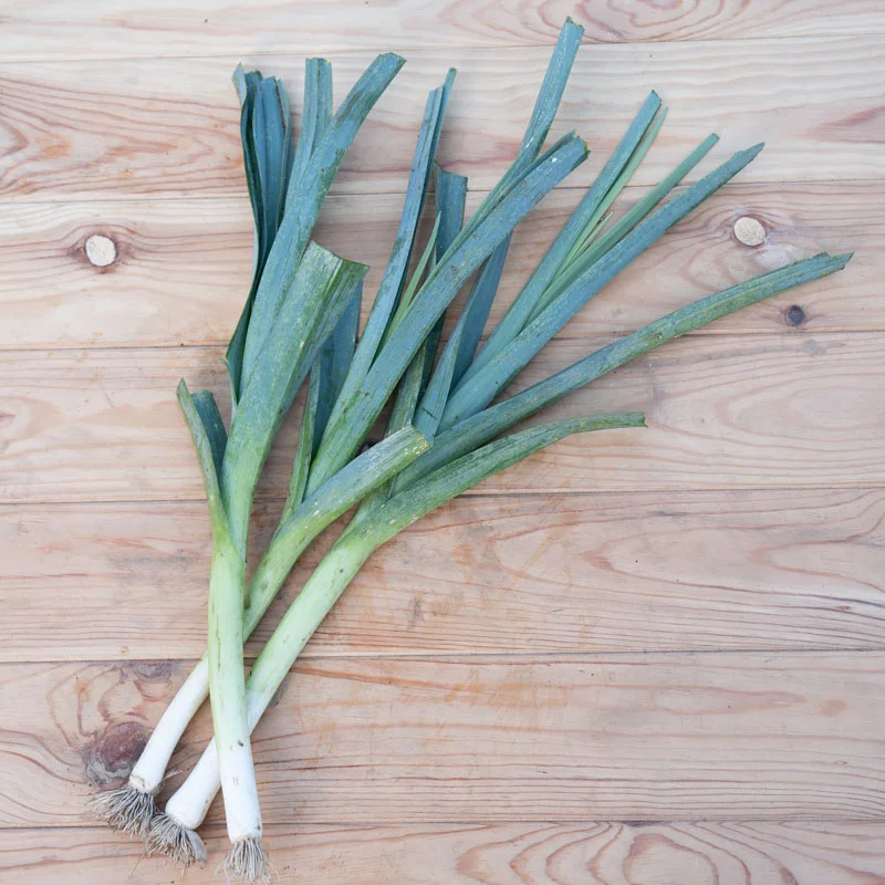 Leeks - Winter Giant