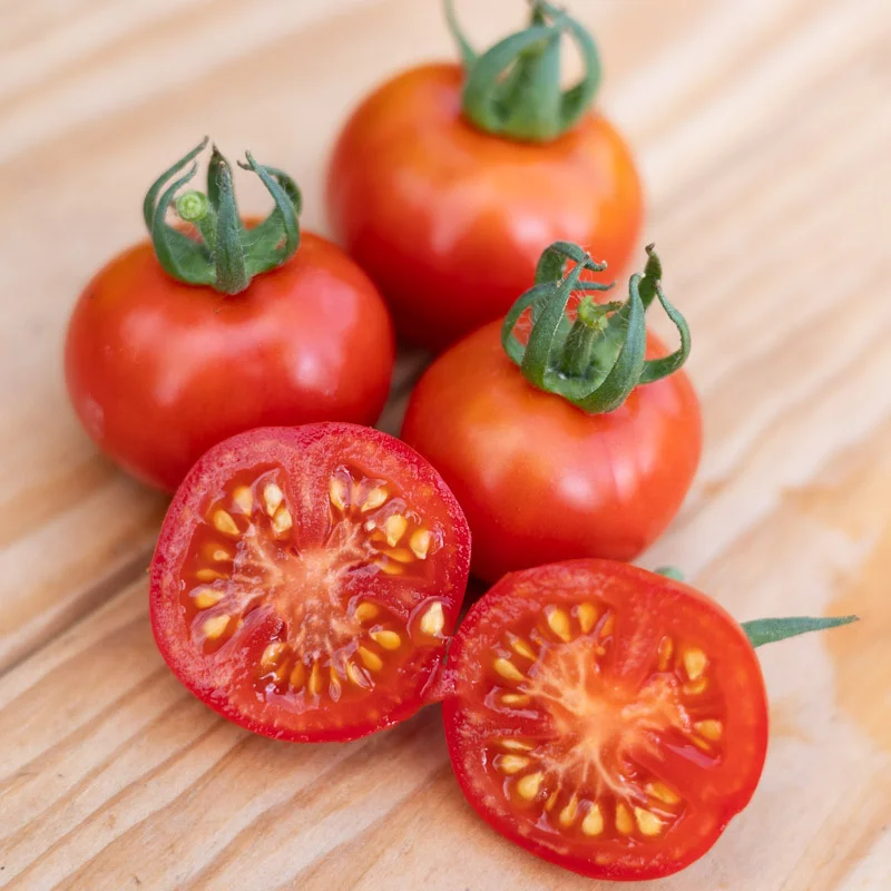 Tomatoes - Sasha Altai