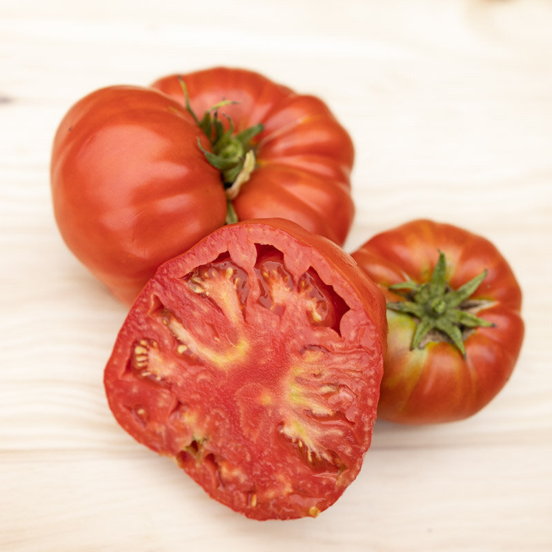 Tomatoes - Aussie
