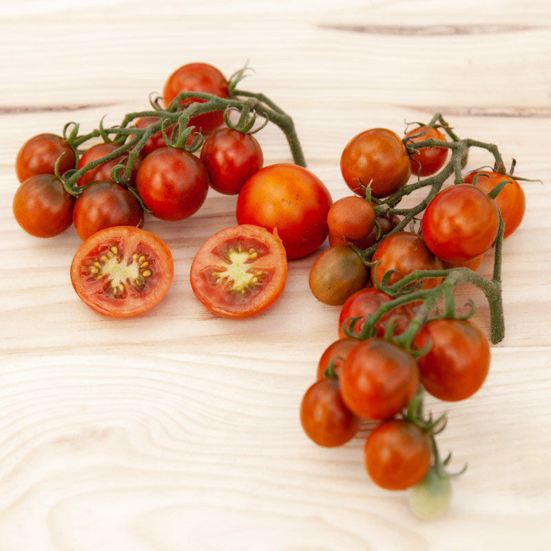 Cherry tomatoes - Ambrosia Giant