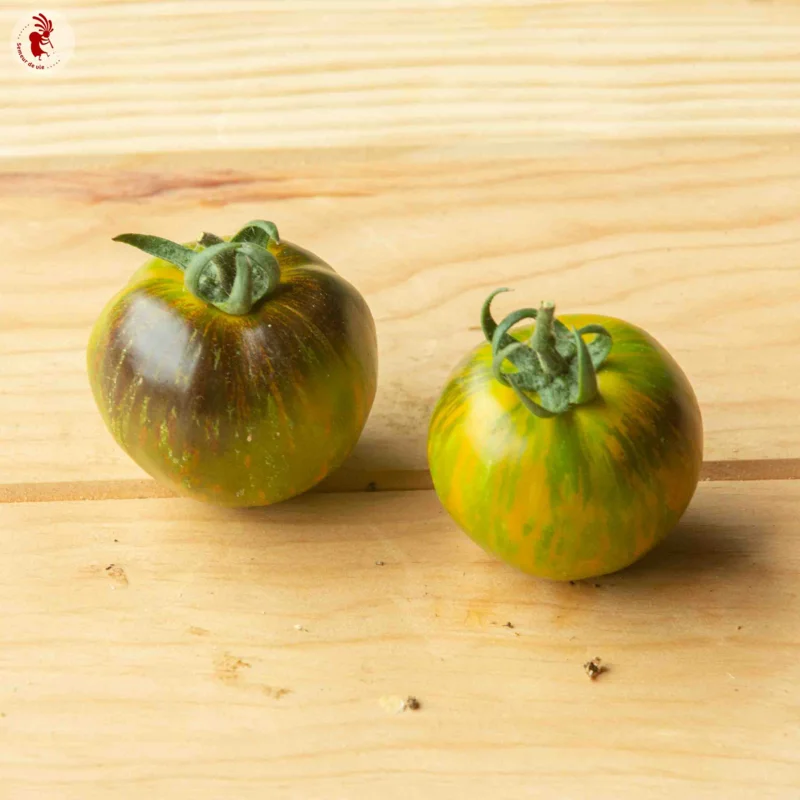 Tomatoes - Blue Green Zebra