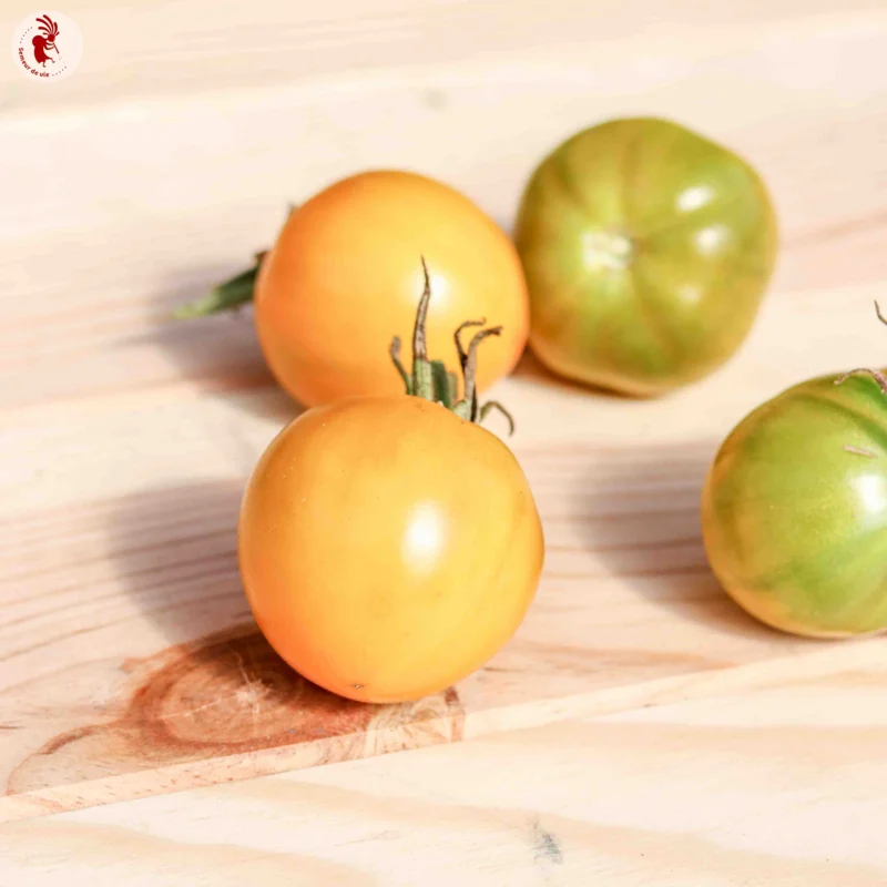 Tomatoes - Esmeralda Golosina