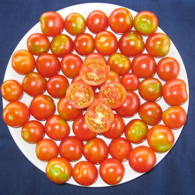 Cherry tomatoes - Tommy Toe