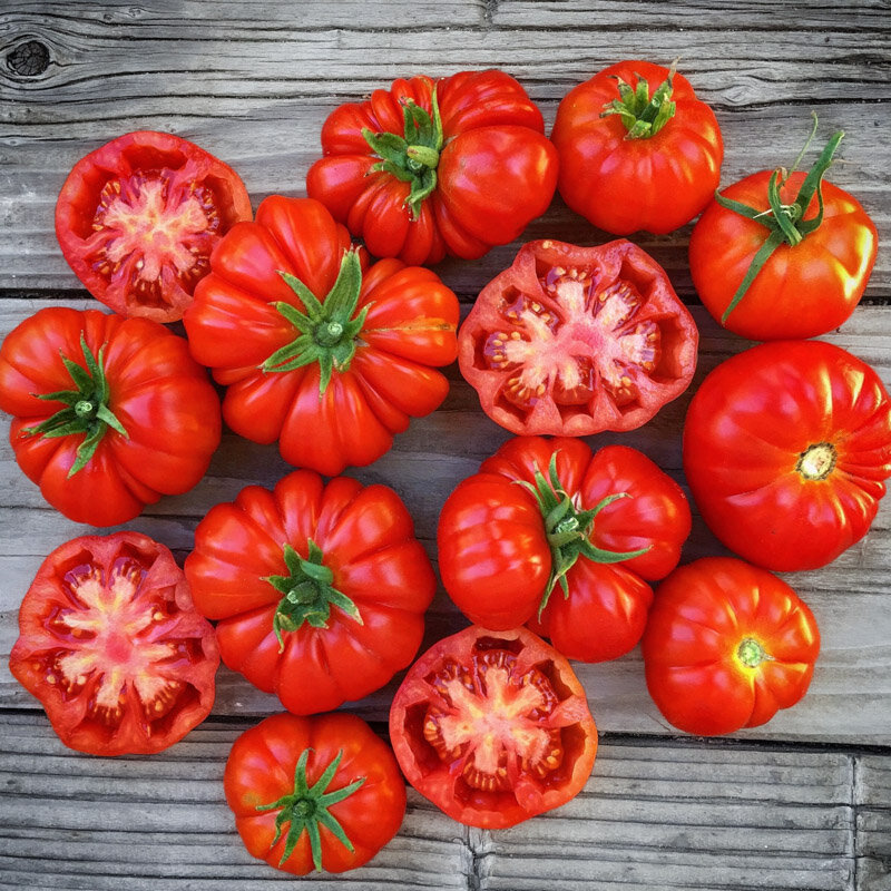Tomatoes - Rosso Sicilian