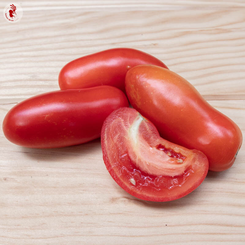 Tomatoes - Oroma