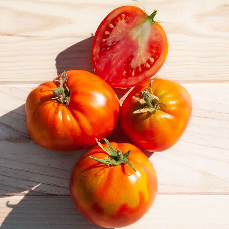 Tomatoes - Schilling Giant Oxheart 