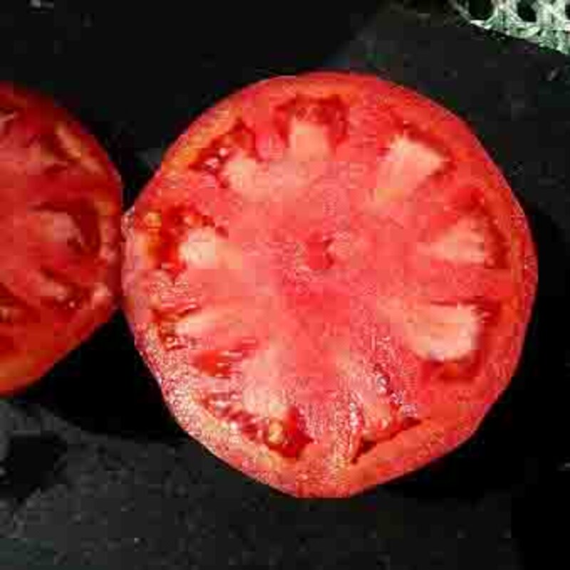 Tomatoes - Coeur de Velours