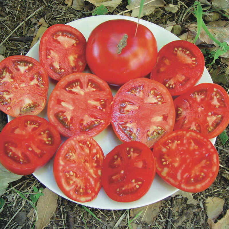 Tomatoes - Glasnost