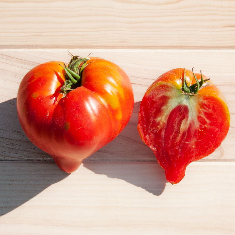 Tomatoes - Venus nipple