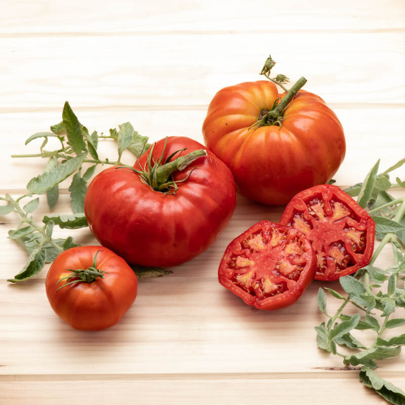 Tomatoes - Sainte Lucie