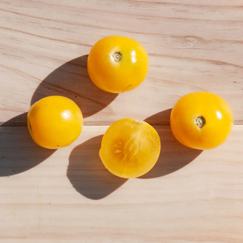 Cherry tomatoes - White Cherry