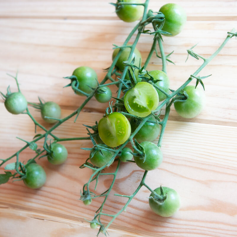Cherry tomatoes - Green Doctors Frosted