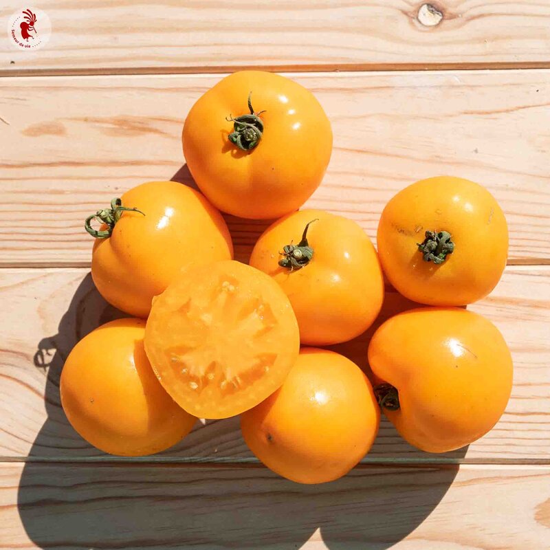 Tomatoes - Mountain Gold