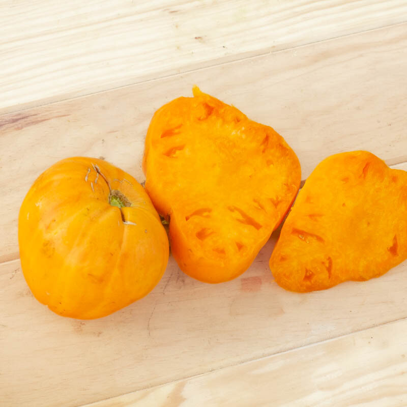 Tomatoes - Verna Orange