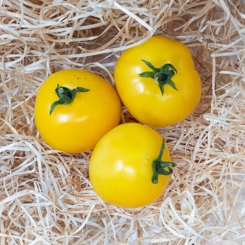 Tomatoes - Cab Yellow