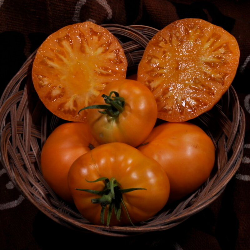 Tomatoes - Azoychka Russian