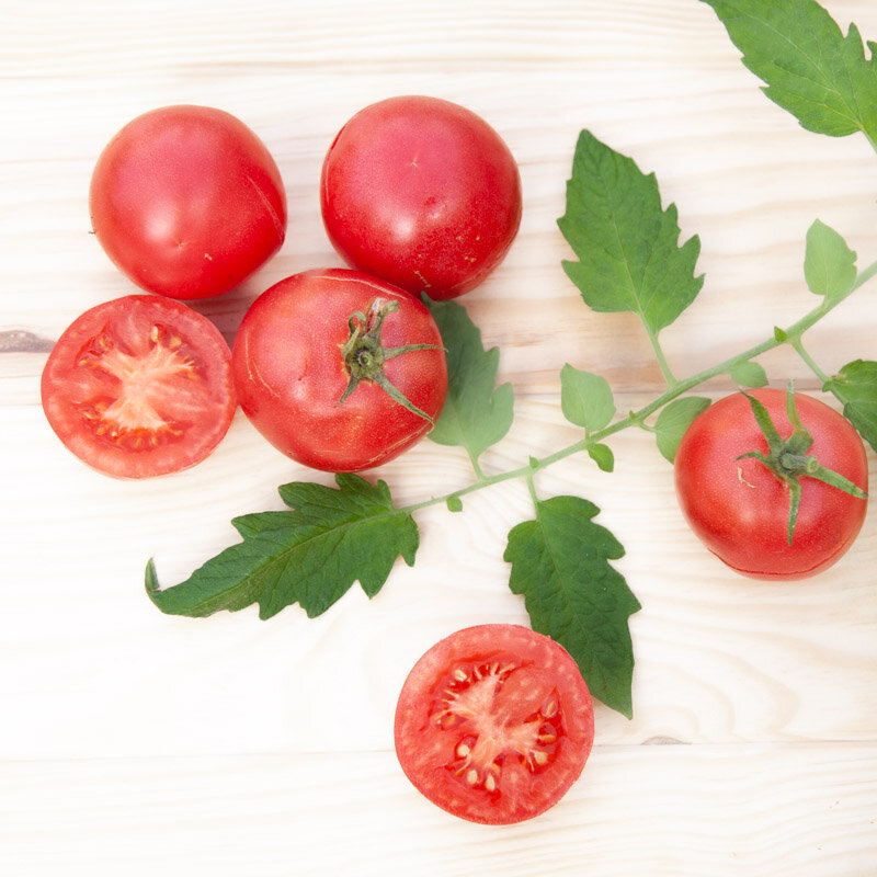 Tomatoes - Maritime Pink