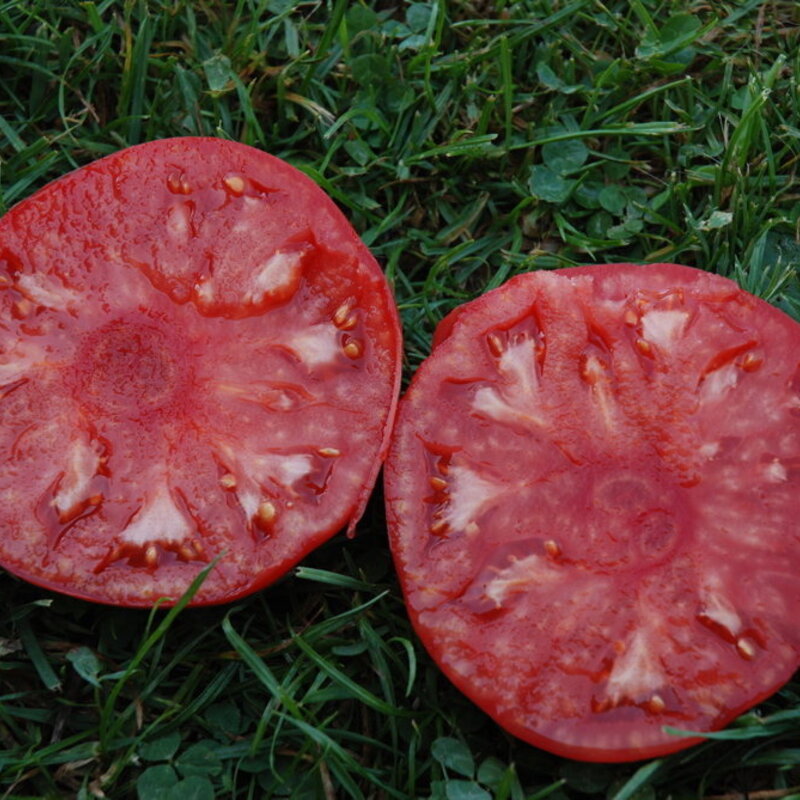 Tomatoes - Pruden's Purple
