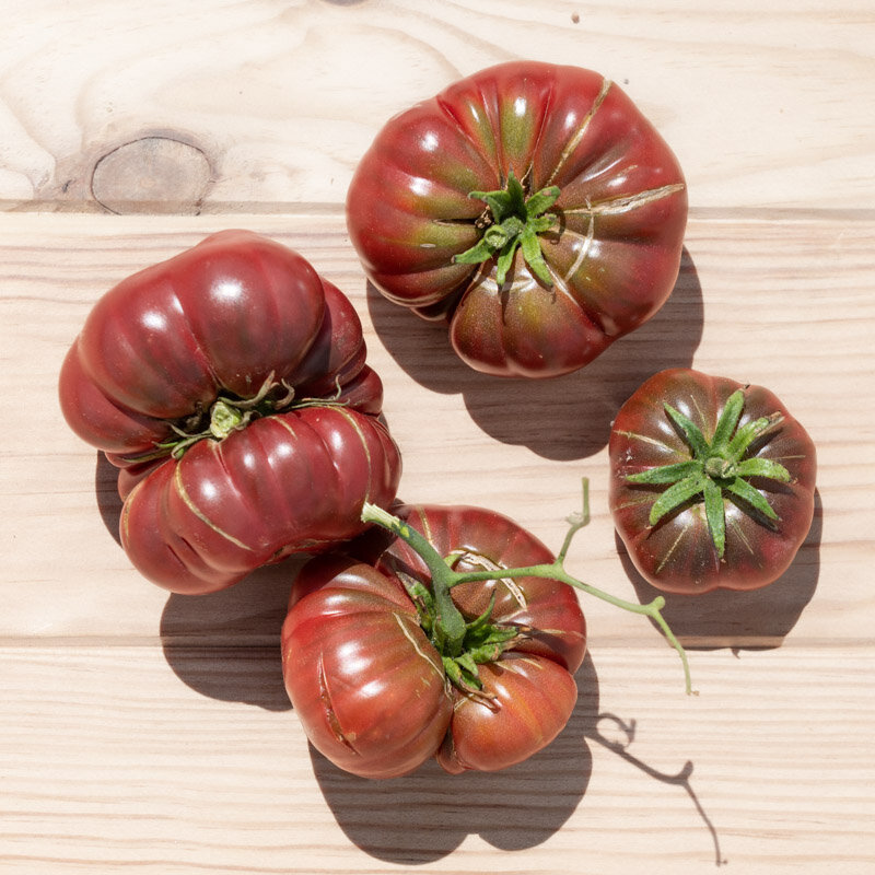 Tomatoes - Purple Calabash