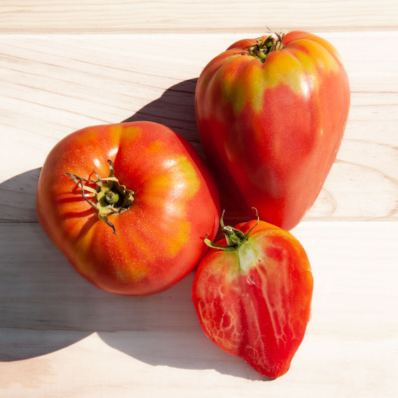 Tomatoes - Oxheart  Yasha Yugoslavian