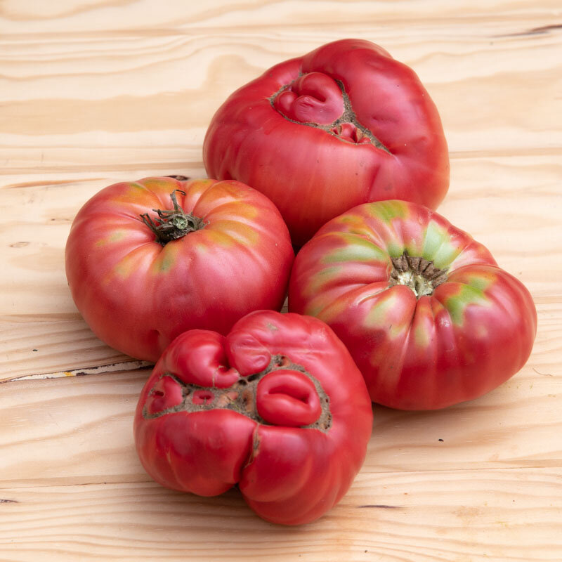 Tomatoes - Bear Claw