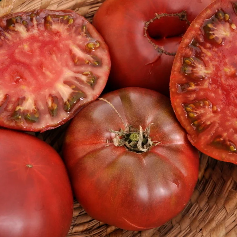 Tomatoes - Crimean Black