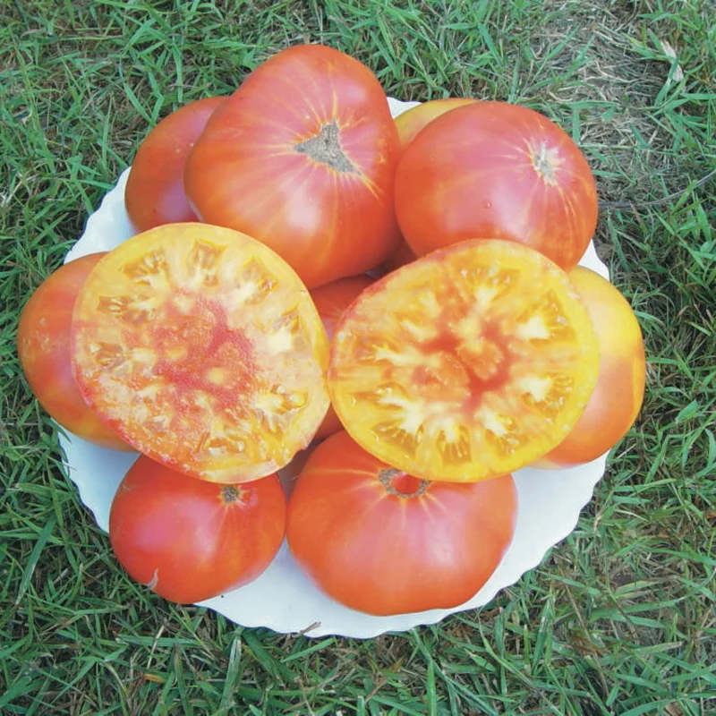 Tomatoes - Pineapple