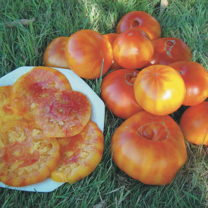 Tomatoes - Pineapple