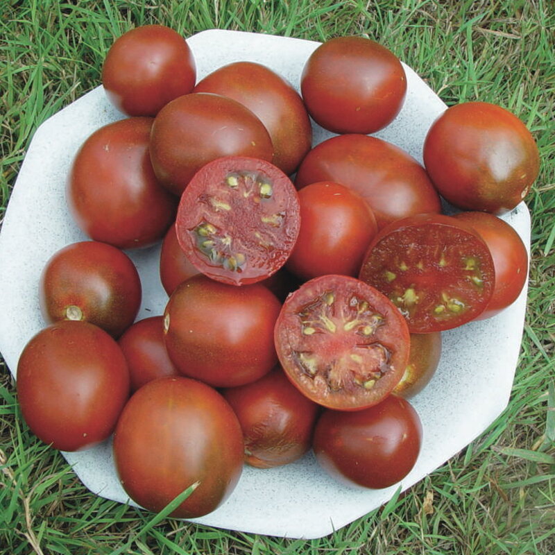 Tomatoes - Black Prince