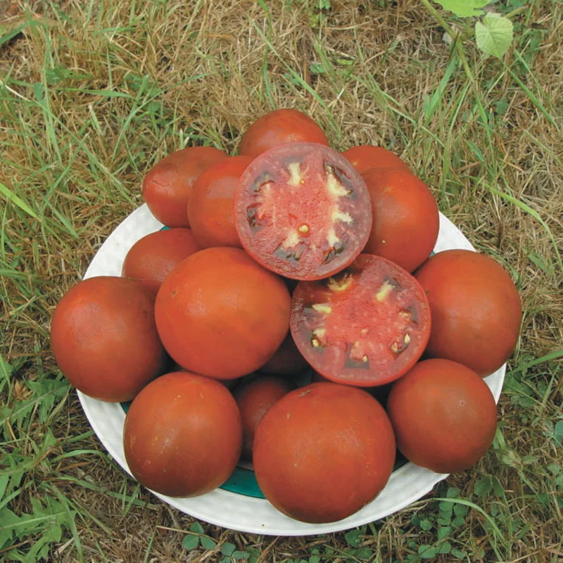 Tomatoes - Black Sea Man