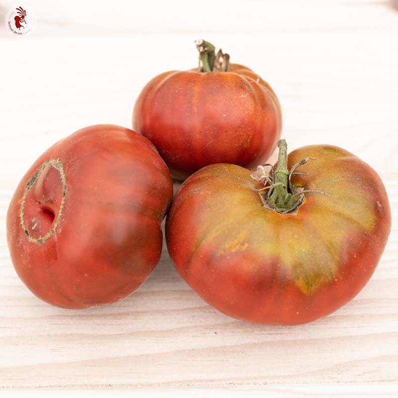 Tomatoes - Black Aisberg