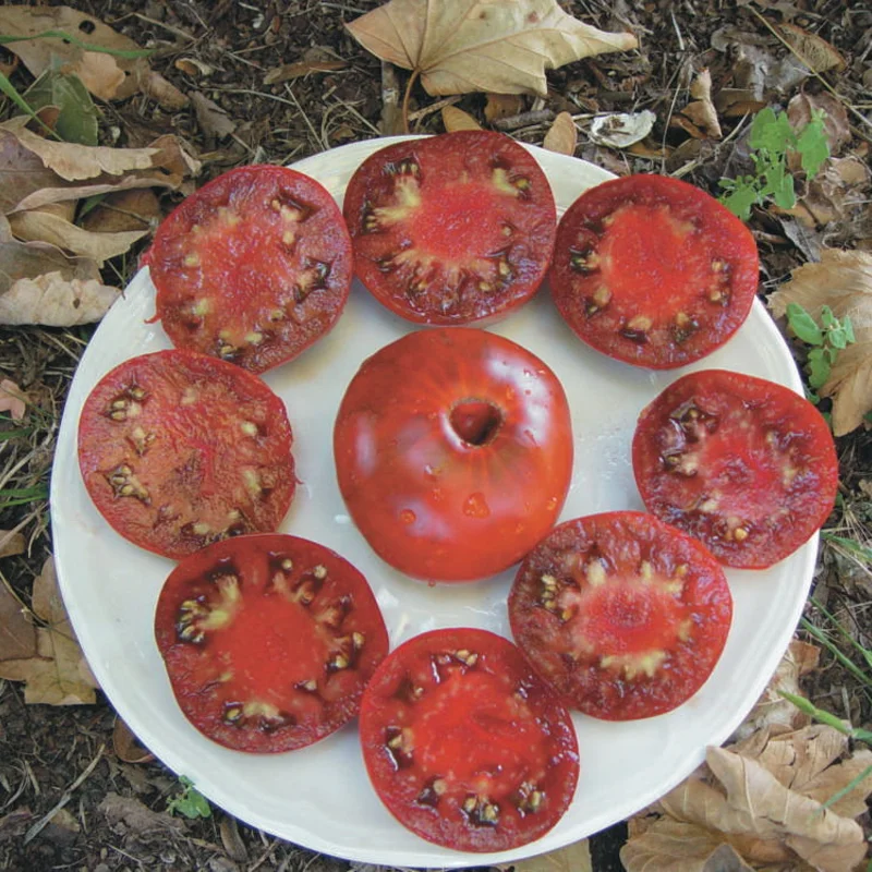 Tomatoes - Black Aisberg