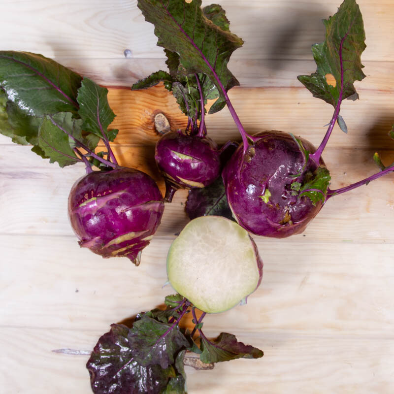 Cabbage turnip - Azur Star