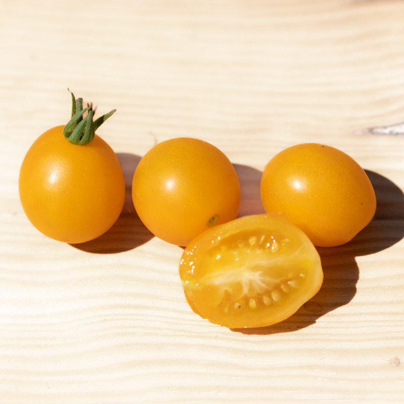 Cherry tomatoes - Yellow Centiflor