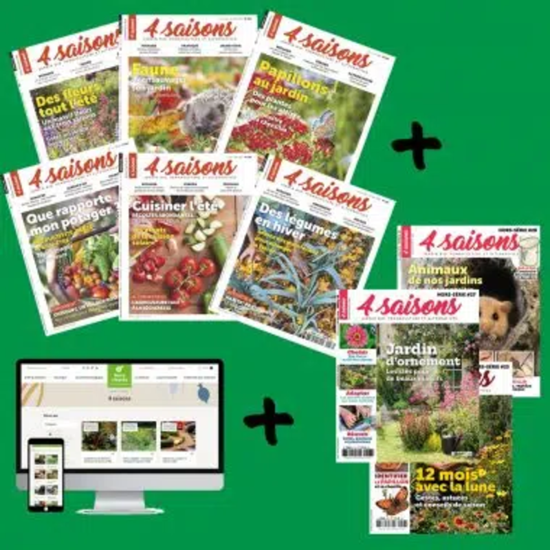Magazine subscriptions - 4 Seasons Magazine subscription Magazine subscriptions 4 Saisons Offer Esprit 1 year (6 issues + 3 HS)