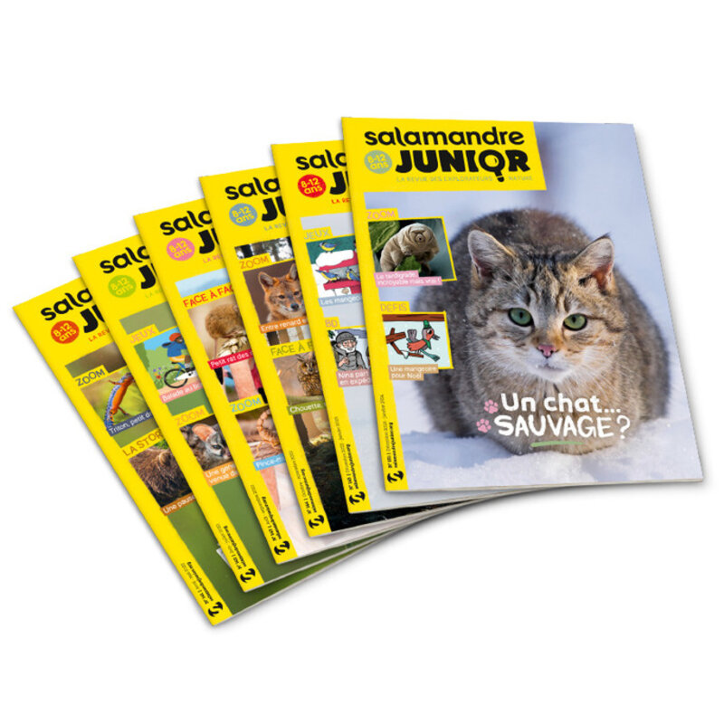 Magazine subscriptions - Subscription to Salamandre Junior magazine Subscriptions Magazine Salamandre Junior 1 year (8-12 years) 6 issues