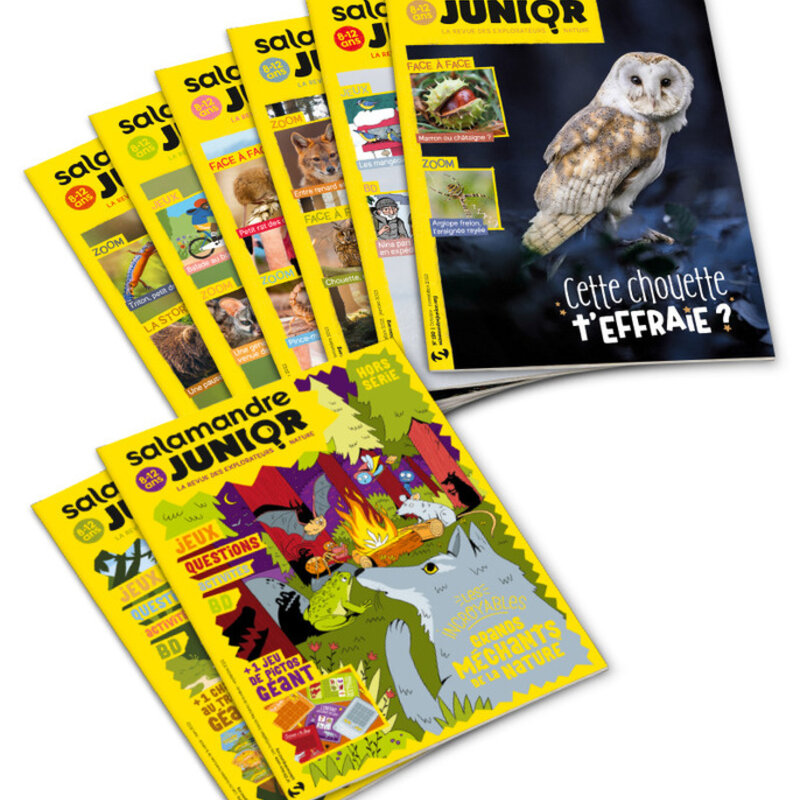 Magazine subscriptions - Subscription to Salamandre Junior magazine Subscriptions Magazine Salamandre Junior 1 year (8-12 years) 6 issues + 2 HS