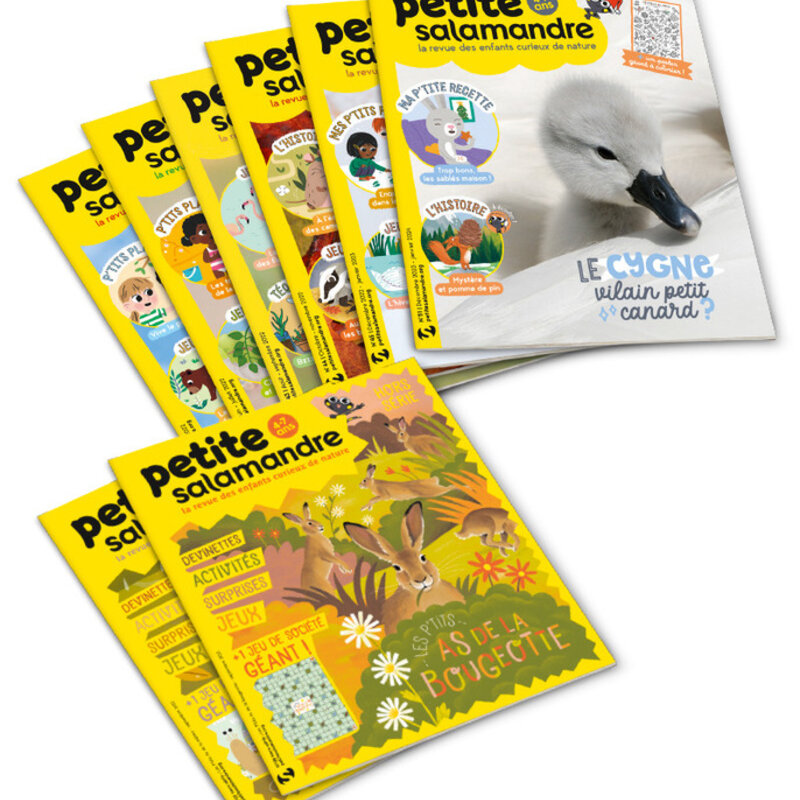 Magazine subscriptions - Subscription to Petite Salamandre magazine Subscriptions Magazine Petite Salamandre 1 year (4-7 years) 6 issues + 2 HS