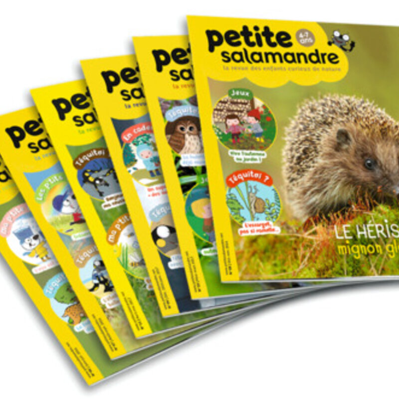 Magazine subscriptions - Subscription to Petite Salamandre magazine Subscriptions Magazine Petite Salamandre 1 year (4-7 years) 6 issues