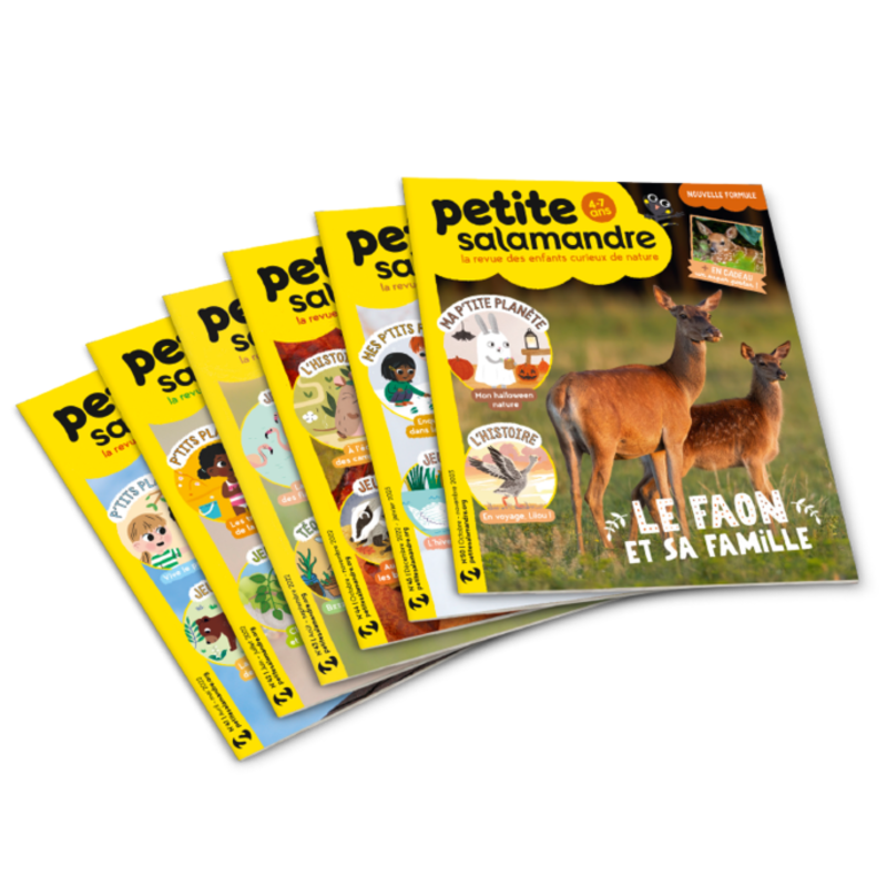 Magazine subscriptions - Subscription to Petite Salamandre magazine Subscriptions Magazine Petite Salamandre 1 year (4-7 years) 6 issues