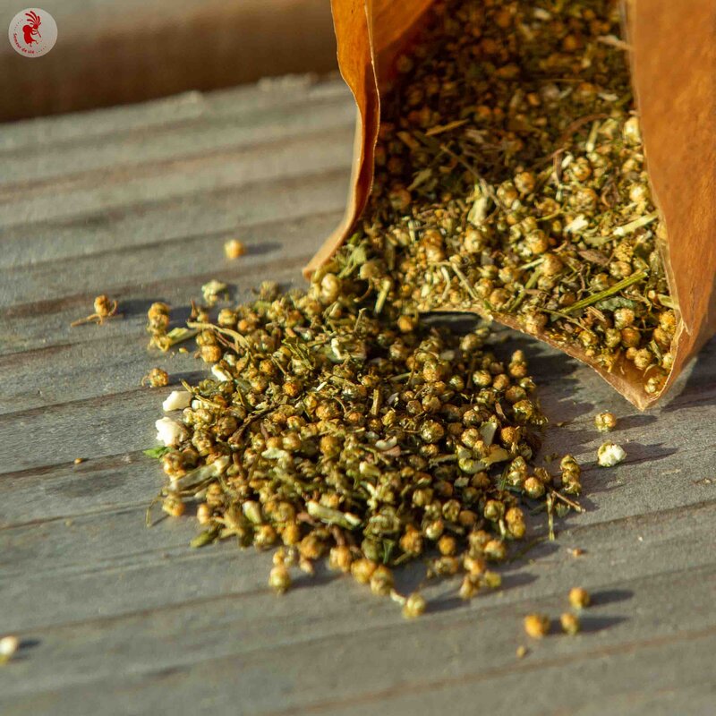 Herbal teas - Artemisia annua - Leaves and flowering tops for herbal teas