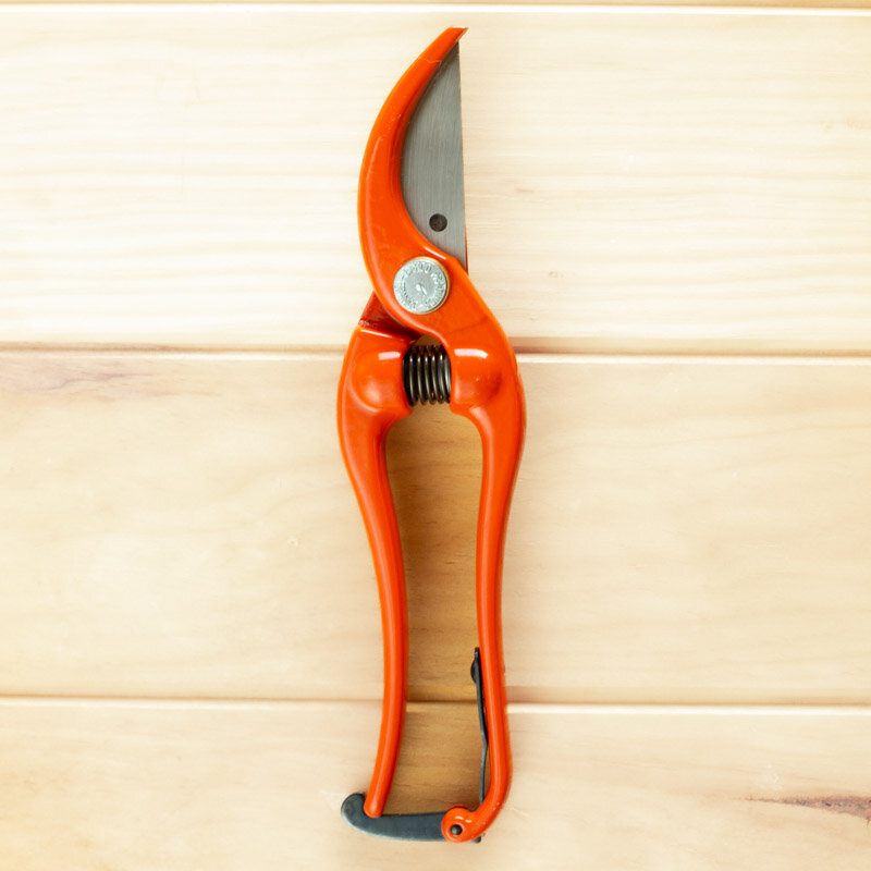 Cutting tools - Bahco wrought-iron professional pruning shears 23 cm