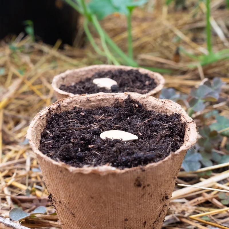 Seedling accessory - 16 biodegradable planting pots (diam. 8 cm)