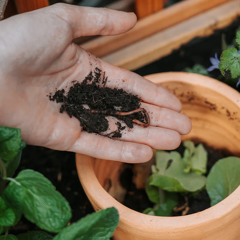 In-ground composter - Circle Pack