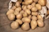 Potatoes - Organic Monalisa potato - size 28/35 Monalisa organic potato 25 plants