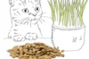 Barley - Catnip